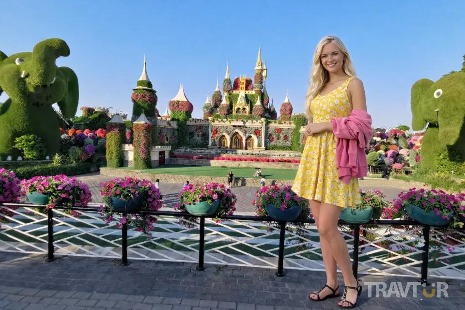 miracle garden 7
