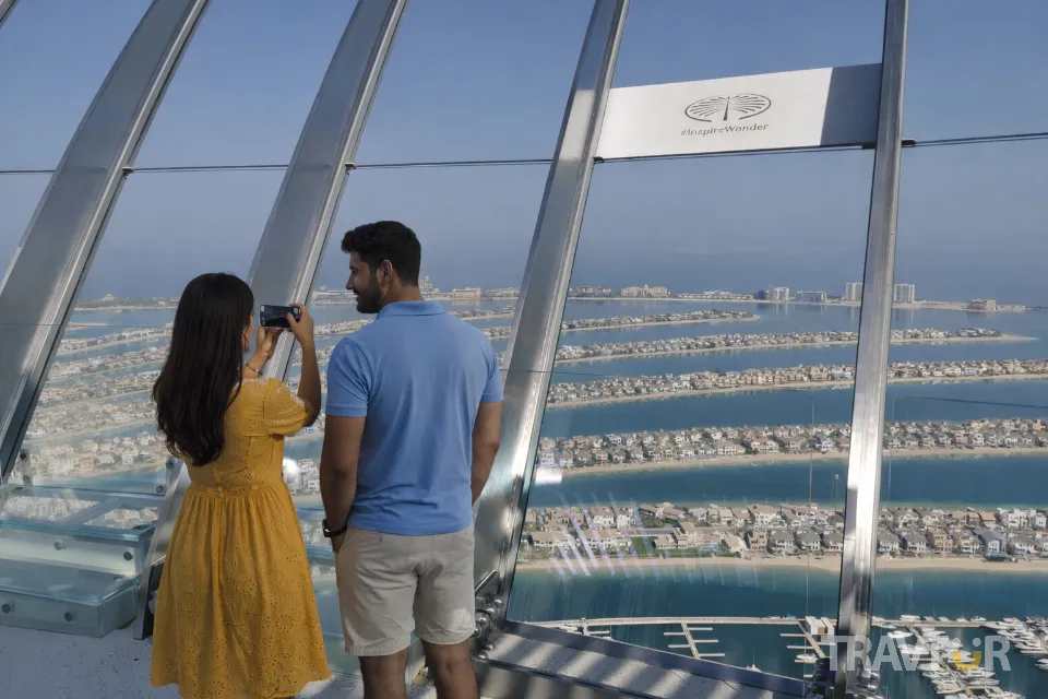palm view 7