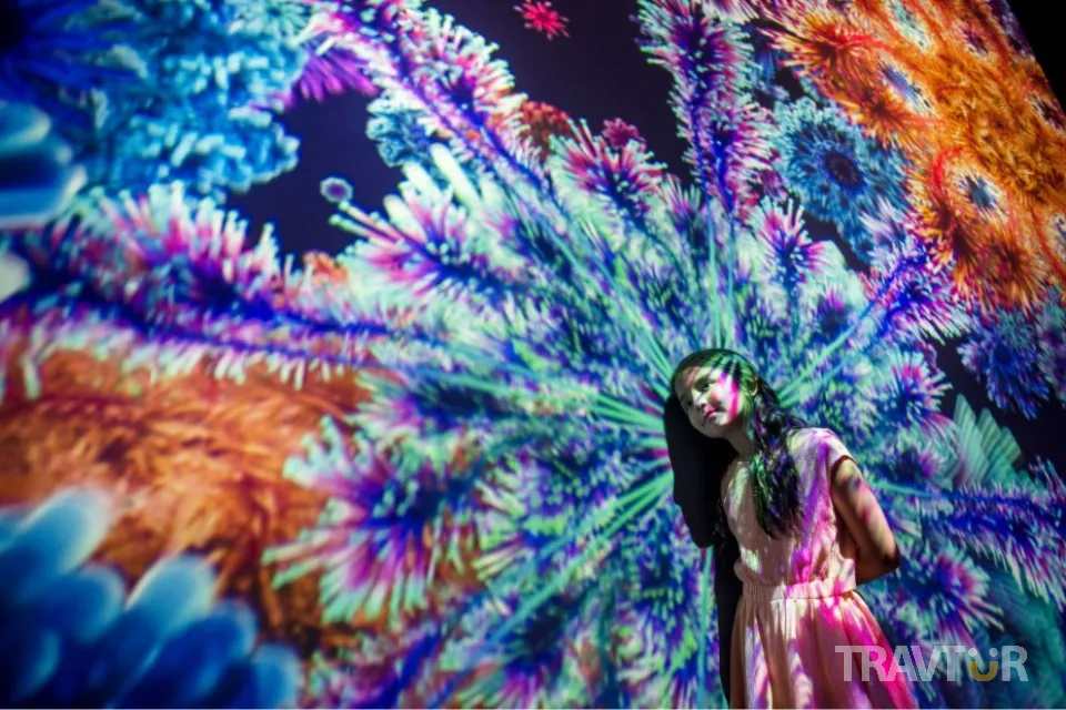 Panoramic Projection mapping