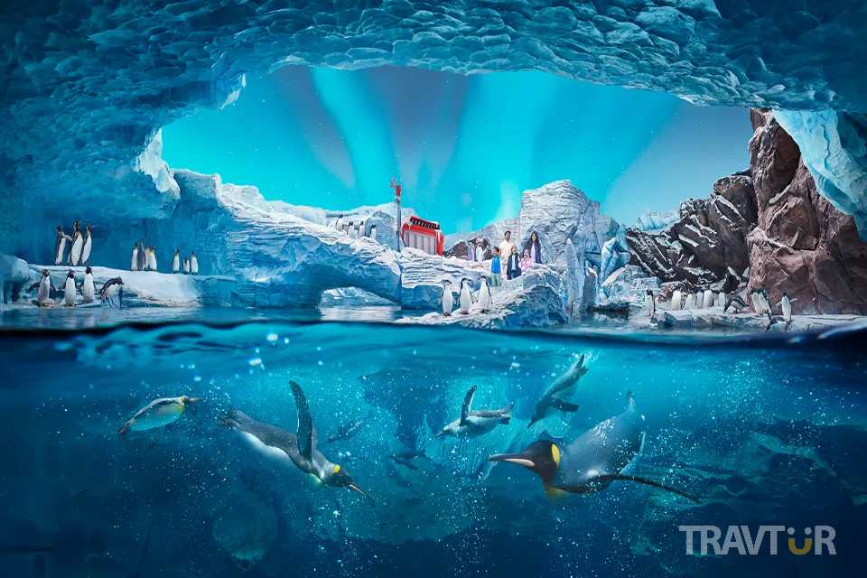 sea world 4