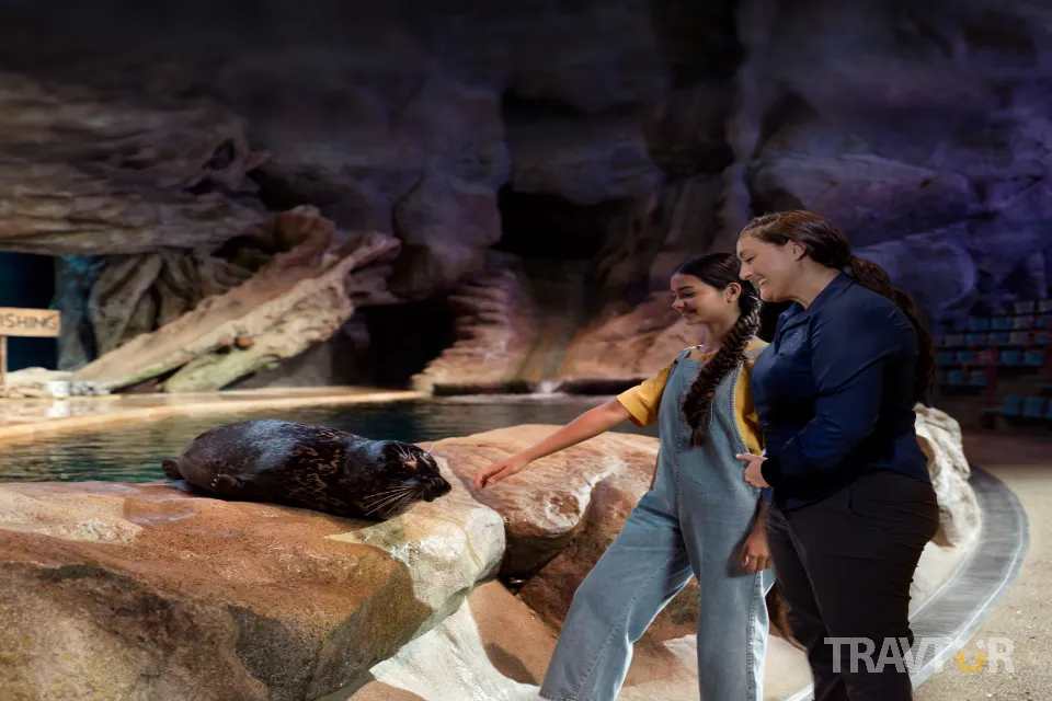 sea world 6