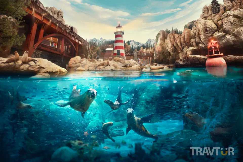 sea world 7